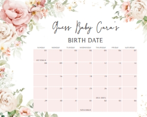 1012 Blush Pink Floral Baby Shower Calendar 10x8 B: 1012 Blush Pink Floral Baby Shower Calendar