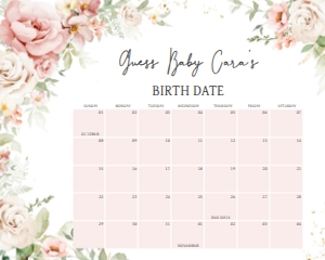1012 Blush Pink Floral Baby Shower Calendar 20x16 B: 1012 Blush Pink Floral Baby Shower Calendar