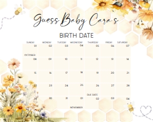 1024 A Little Honey Baby Shower Calendar 10x8 A: 1024 A Little Honey Baby Shower Calendar