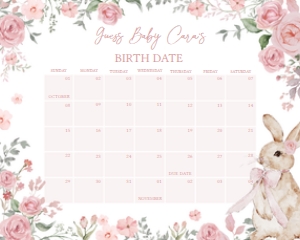 1025 Girl Some Bunny Baby Shower Calendar 10x8 A: 1025 Girl Some Bunny Baby Shower Calendar