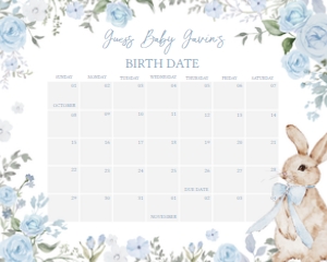 1026 Boy Some Bunny Baby Shower Calendar 20x16 A: 1026 Boy Some Bunny Baby Shower Calendar