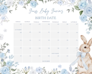 1026 Boy Some Bunny Baby Shower Calendar 10x8 A: 1026 Boy Some Bunny Baby Shower Calendar