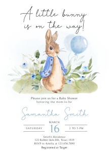 57BD Peter Rabbit Birthday Invitation design preview