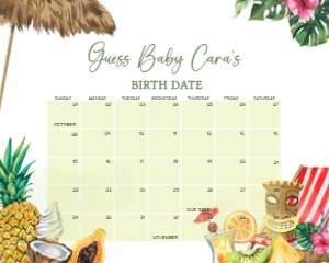 1051 Girl Tropical Hawaiian Baby Shower Calendar 20x16 A: 1051 Girl Tropical Hawaiian Baby Shower Calendar