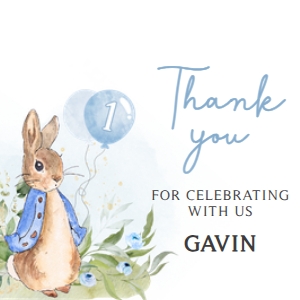 57BD Peter Rabbit Birthday Square Favor Tags A: 57BD Peter Rabbit Birthday Round Favor Tag