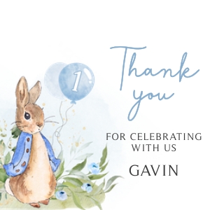 57BD Peter Rabbit Birthday Round Favor Tag design preview
