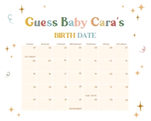 1055 Boho Retro Tiny Human Shindig Baby Shower Calendar 20x16 A: 1055 Boho Retro Tiny Human Shindig Baby Shower Calendar