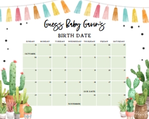 187 Cactus Baby Shower Calendar 20x16: 187 Cactus Baby Shower Calendar