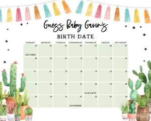 187 Cactus Baby Shower Calendar 10x8: 187 Cactus Baby Shower Calendar