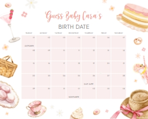 1066 Picnic Brunch Baby Shower Calendar 20x16 A: 1066 Picnic Brunch Baby Shower Calendar
