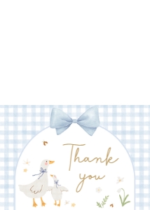 1071 Blue Gingham Silly Goose Baby Shower Thank You Card A: 1071 Blue Gingham Silly Goose Baby Shower Invitation Set