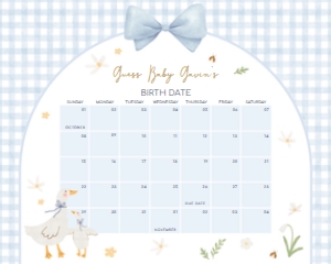 1071 Blue Gingham Silly Games Baby Shower Calendar 10x8 A: 1071 Blue Gingham Silly Goose Baby Shower Calendar