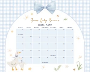 1071 Blue Gingham Silly Games Baby Shower Calendar 20x16 A: 1071 Blue Gingham Silly Goose Baby Shower Calendar