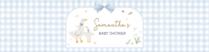 1071 Blue Gingham Silly Goose Baby Shower Bottle Label design preview