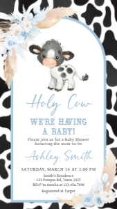 663 Boy Holy Cow Baby Shower Invitation Mobile: 663 Boy Holy Cow Baby Shower Mega Bundle