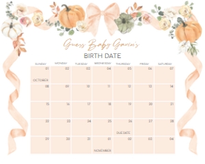 1110 Bow Pumpkin Baby Shower Welcome Calendar 10x8 A: 1110 Bow Pumpkin Baby Shower Mega Bundle