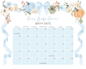 1110 Blue Bow Pumpkin Baby Shower Welcome Calendar 10x8 C: 1110 Blue Bow Pumpkin Baby Shower Calendar