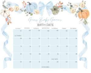 1110 Blue Bow Pumpkin Baby Shower Welcome Calendar 20x16 C: 1110 Blue Bow Pumpkin Baby Shower Calendar