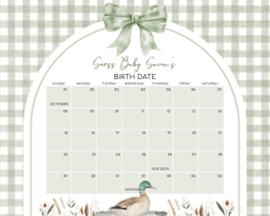 1113 Green Gingham Baby Boy Mallard Duck Baby Shower Calendar 10x8 A: 1113 Green Gingham Baby Boy Mallard Duck Baby Shower Calendar