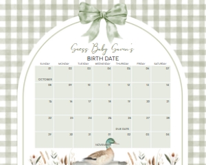 1113 Green Gingham Baby Boy Mallard Duck Baby Shower Calendar 20x16 A: 1113 Green Gingham Baby Boy Mallard Duck Baby Shower Calendar