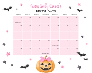 1125 Pink Minimalist A Little Boo Baby Shower Calendar 20x16 B: 1125 Pink Minimalist A Little Boo Baby Shower Mega Bundle