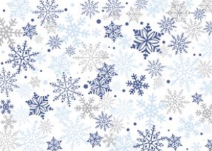 Winter Onederland Invitation Backside Blue & Silver: Winter Onederland Photo Invitation Blue and Silver 5x7