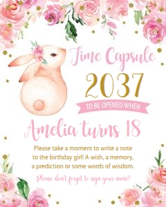 Bunny Time Capsule design preview