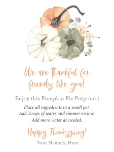 Pumpkin Pie Potpourri_Friends: Pumpkin Pie Potpourri_Friends