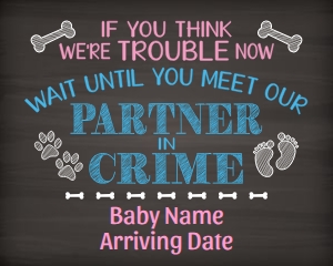 Our Partners in Crime (original) 16x20 (chalk color) design preview