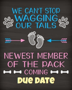 Dogs Pregnancy Reveal (Newest Member of the Pack) 16x20 design preview