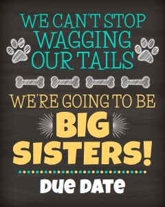 Dogs Pregnancy Reveal (Going to be a Big Sisters) 16x20 design preview