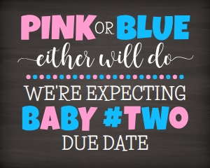 Pink or Blue Baby #2 16x20 Landscape (chalk) design preview