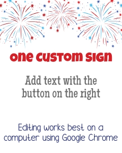 Custom Fireworks 16x20 Portrait (white) design preview