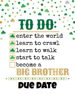 St. Patrick's Day Big Brother To Do List 16x20 design preview