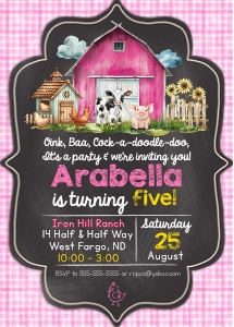 Gingham Farm Pink: Gingham Farm Pink