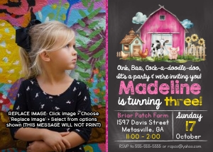 Gingham Farm Photo Pink: Gingham Farm Pink