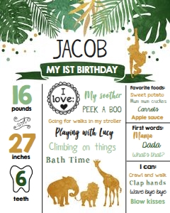 Birthday Milestones Safari Animals Wild One Boy design preview