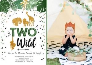 Birthday Invitation Safari Animals Two Wild Boy - With photo design preview