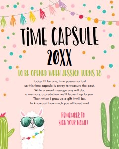 Time Capsule Llama Sunglasses Pink design preview