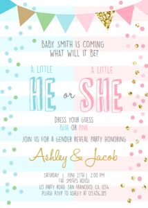 Gender Reveal Party Invitation He or She White Stripes design preview