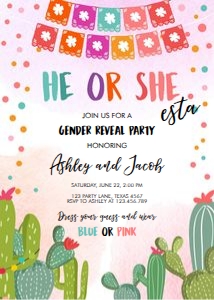 Gender Reveal Invitation He or She Fiesta design preview