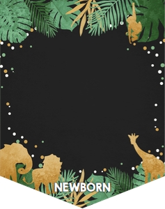 Monthly Birthday Banner Safari Animals Boy Chalk design preview