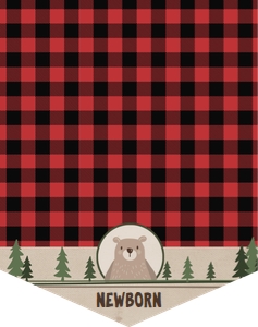 Monthly Birthday Banner Lumberjack design preview