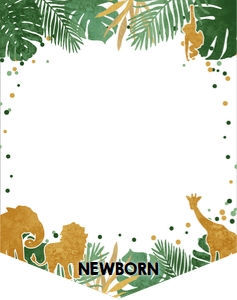 Monthly Birthday Banner Safari Animals Boy design preview