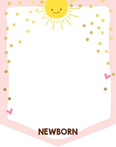 Monthly Birthday Banner Sunshine Pink: Monthly Birthday Banner Sunshine Pink