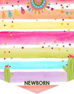 Monthly Photo Banner Fiesta Colors design preview
