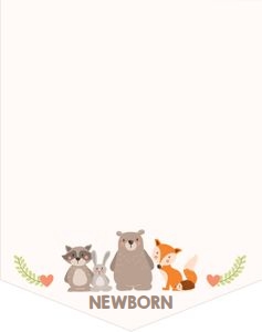 Monthly Photo Banner Woodland design preview