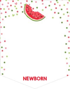Monthly Photo Banner Watermelon design preview