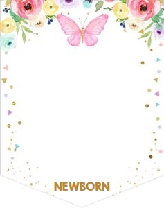 Monthly Banner Butterfly design preview