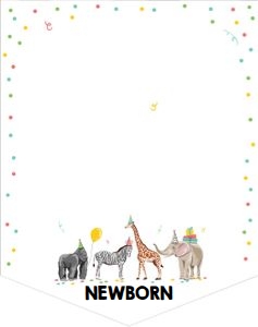 Monthly Banner Party Animals design preview